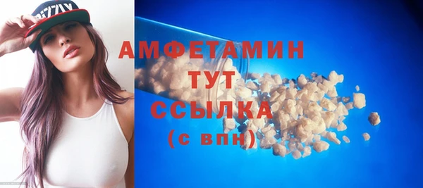 индика Верхний Тагил